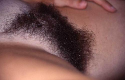 http://bellyhairandracingstripes.tumblr.com/post/150455296691