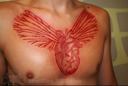 Porn photo moshita:  heart scarification Richard Deffin