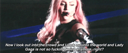 The Absolute Best GIFs