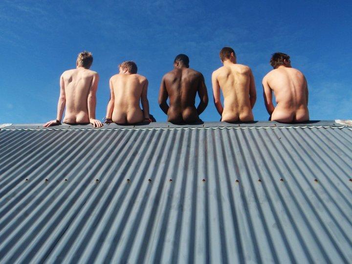 benudenfree:  five fine asses on a hot tin roof, great capture   :p