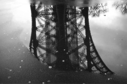 terrymagson:  Eiffel Tower Puddle Reflection.