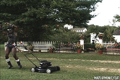 quadguyin-china:  madeupmonkeyshit:  Is this how gay people cut they grass?  Seth,