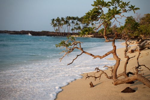 Kekaha Kai State Park, Kailua-Kona, Big Island, HI // 27.1.16