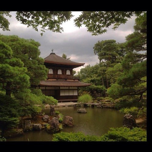 flapyinjapan:  Día lluvioso en #Kyoto #京都 #銀閣寺 (at 銀閣寺) 