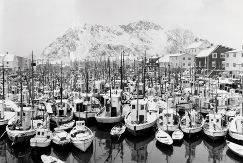 skandinaviskhet:“Last of the Viking Whalers” — a way of life drawing to a close on the Lofoten Islan