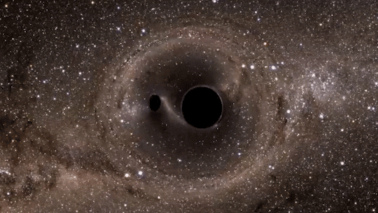 npr:  skunkbear:  This is very cool and a pretty big deal. Find out why.  Big black