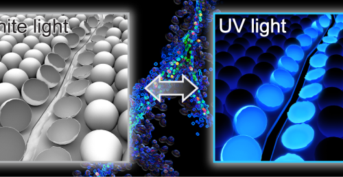 New method to identify microscopic failure (Update)If you&rsquo;ve never had the plumber to your