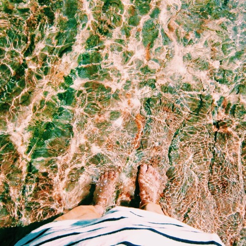 Wild Heart