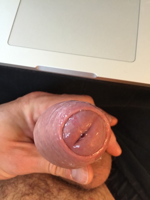 Porn Pics allforforeskin:  piggyunci“Your blog has