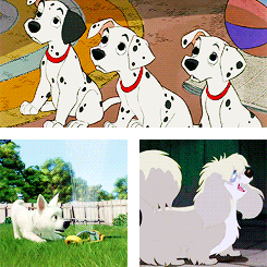 Happy National Dog Day! (August 26th 2015)