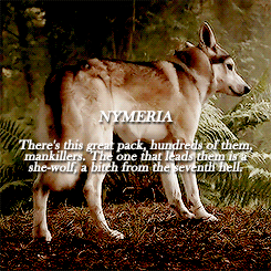 jonbran:   Summer’s howls were long and sad, full of grief and longing. Shaggydog’s