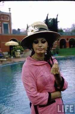 indypendentstars:  Sophia Loren 