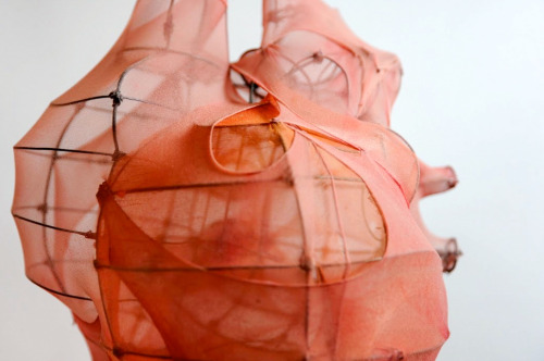 ianbrooks:  Spatial Heart by Kincső TóthArtist: Behance 