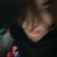 jungwonspetcactus