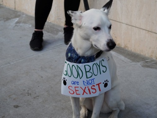 best boy in woman&rsquo;s march