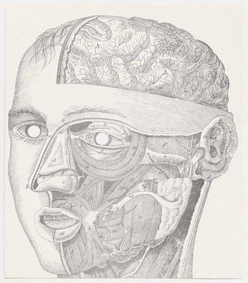 Face Anatomy Mask, George Maciunas, c. 1973, MoMA: Drawings and PrintsThe Gilbert and Lila Silverman