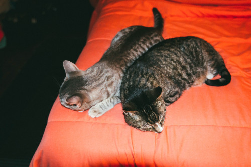 they love each other so :’)