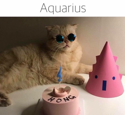 gaypussyretard:  cat astrology