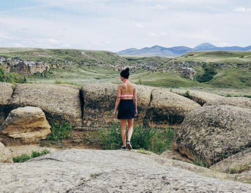 That one time we went to Jurassic Park #explorealberta #travelalberta #explorecanada #dailyhiveyyc #