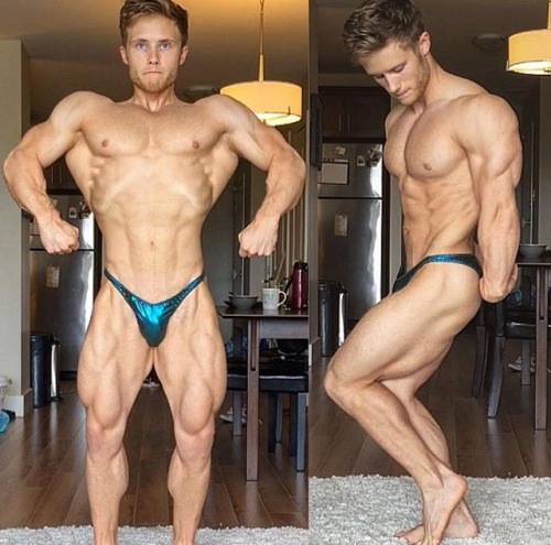 builddudebuild:  Jeff Nippard