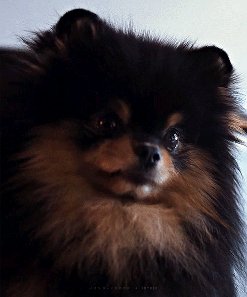 Yeontan Cameo In 'rainy Days' Mv For @kth1