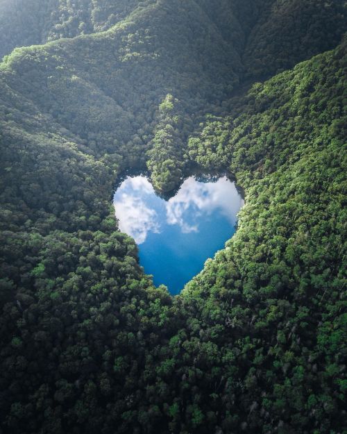 Heart Shaped