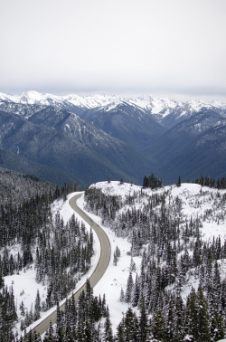 just-breezy:  Hurricane Ridge ||   	Billy