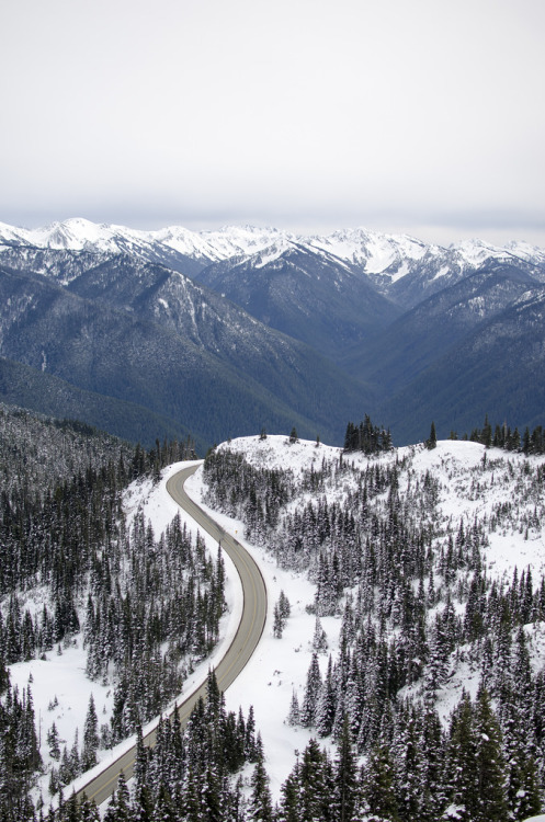 just-breezy:  Hurricane Ridge ||   	Billy porn pictures