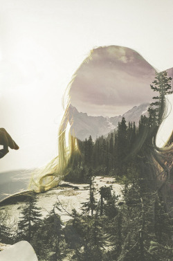 A Nature Blog