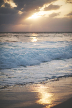 teapalm:  sunset at Kaena state park 