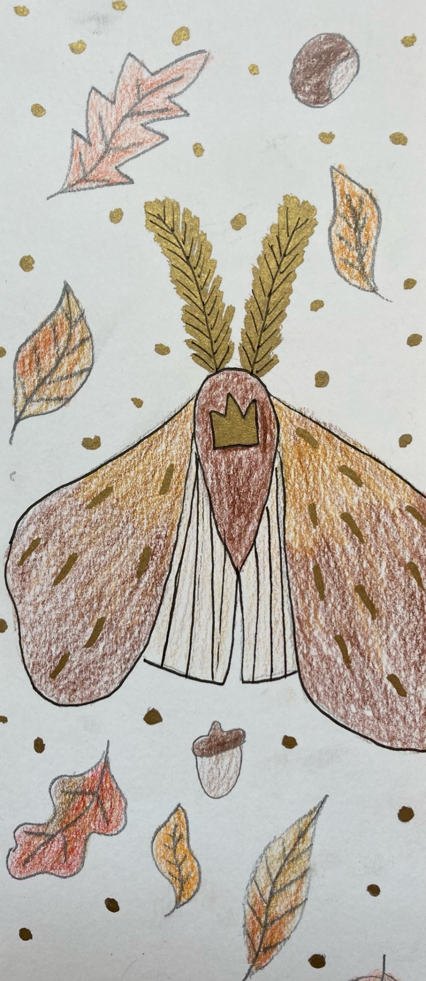 lesbianpandasworld - Queer Moth