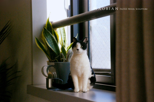 Last December I took my needle felted cat to travel to Tokyo.(part. 2)Before Natsume Soseki’s(夏目漱石) 