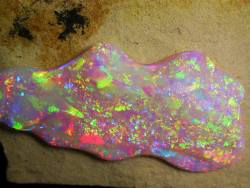 spiritual-realm:  Brazilian Crystal Opal 