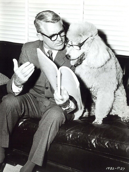 weirdvintage: Cary Grant reading a script with a poodle, 1932 (via)