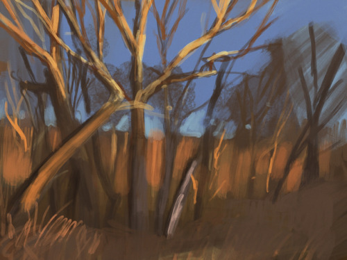 From today’s plein air painting session with @ryan_andrade_artSome pretty excellent golden hour li