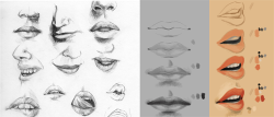 helpyoudraw:  Study sketch   tutorial. Mouth. by Cthulhu-Great