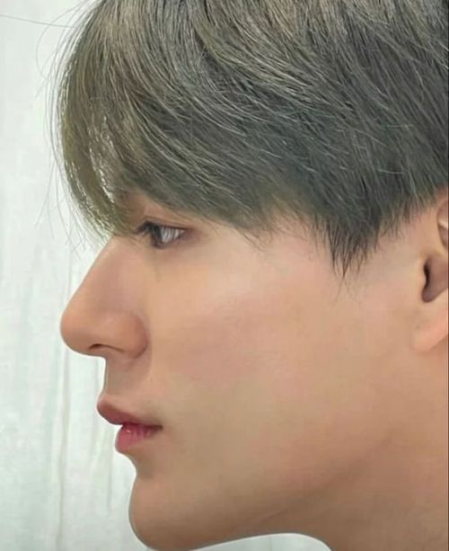 Lee Jeno Nose Kisses