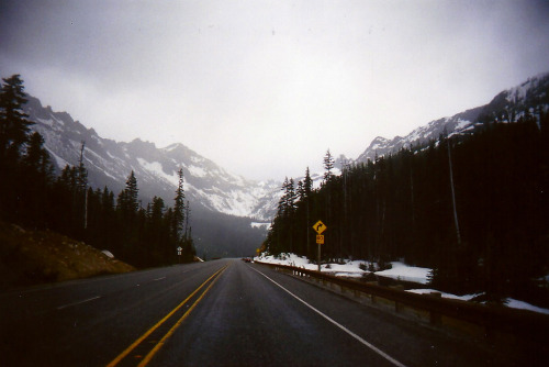 wolfwithoutfear:    