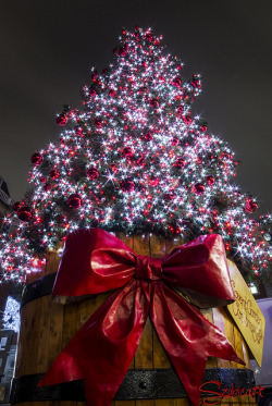 lheartlondon:  Covent Garden Christmas tree 