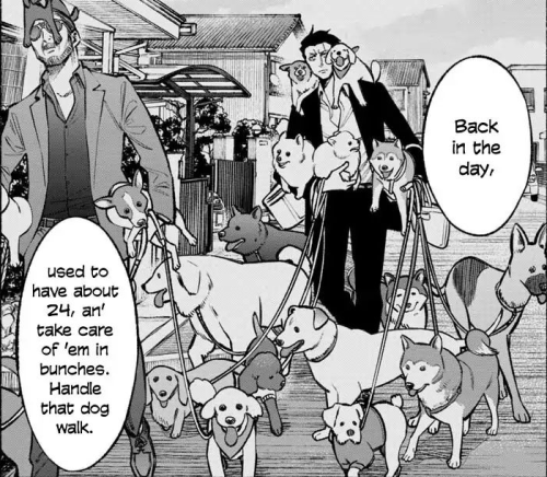 Today S Anime Dog S Of The Day Is All Of These Today S Anime Dog S Of The Day Is All Of These
