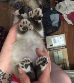 cute-overload:  I got extra jelly beans!http://cute-overload.tumblr.com