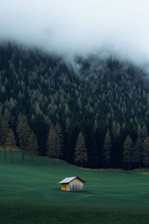 j-k-i-ng:  “Untitled“ by | Ogik JatmikoSalzburg, Austria