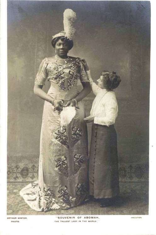 blackhistoryalbum:  THE BLACK AMAZON | Early 1900sElla  Williams who prefers to be call by her showbiz name Mme Abomah was once  the world`s tallest hot and beautiful lady in the late 1800`s and early  1900`s. She was reputed to be 7ft 6inch giantess.