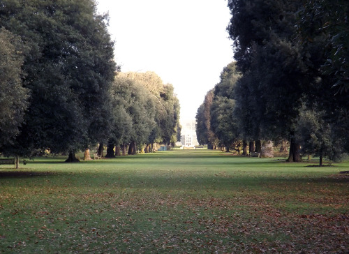 Kew Gardens, London. New Year’s Eve.