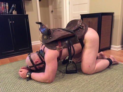 @247master’s slave horse at rest between HIS rides, SIRS. MASTER has told it that the rides are much