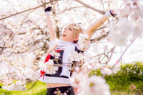 Yuudachi - ゆう