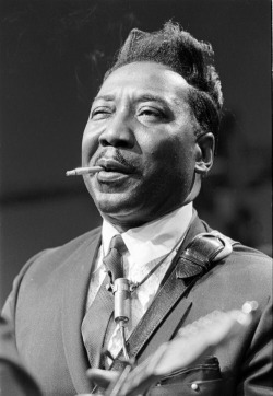 allformsofartafoa:  Muddy Waters