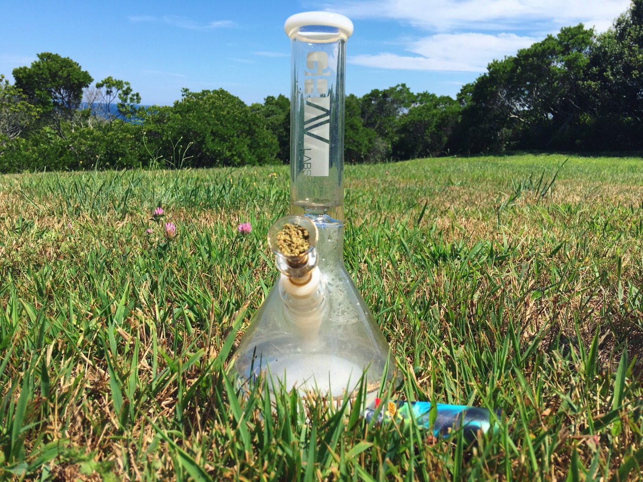 andthesorcerersstoned:Had to bring the Grav along on our trip!