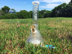 Andthesorcerersstoned:had To Bring The Grav Along On Our Trip!