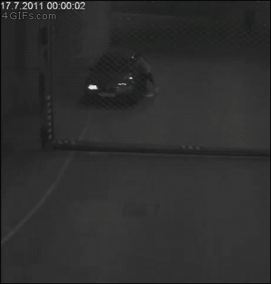 tecastigoelcuerpo:  Car Flip = 1000 puntos.